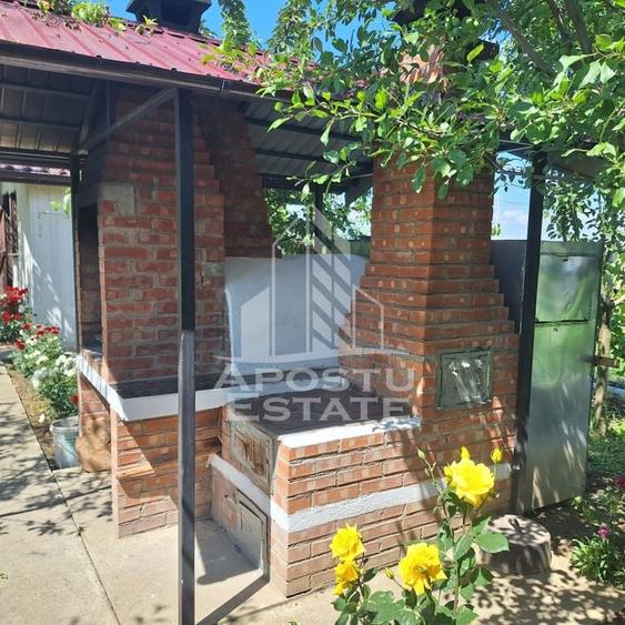 Casa individuala in Ianova,Comuna Remetea Mare - 7