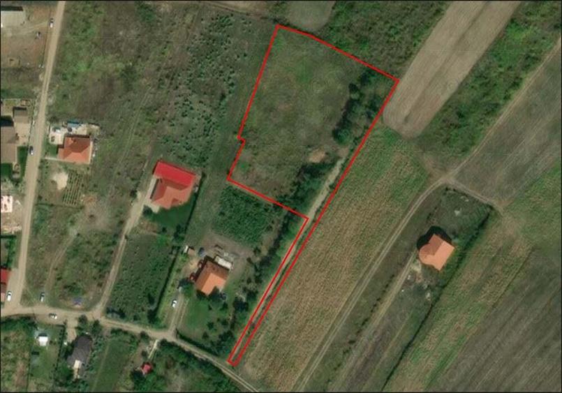 Teren intravilan - Saldabagiu de munte - 5000 mp. - IMOBIHOR - 2