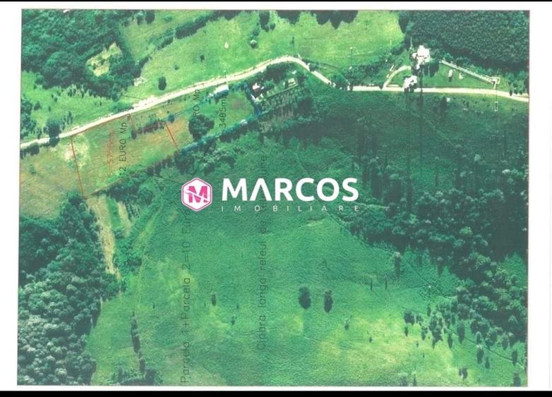 Teren Drumul Lupacului, ID 913 - 1