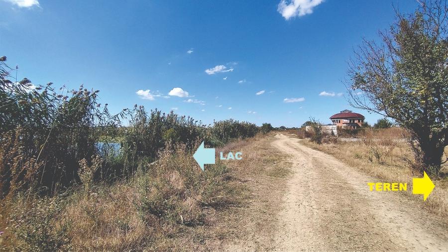 Vanzare teren 4400 mp Snagov - Gruiu, cu deschidere la lacul Snagov - 5