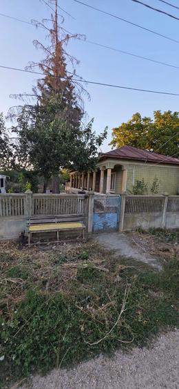 Casa de vanzare 1000m - 2