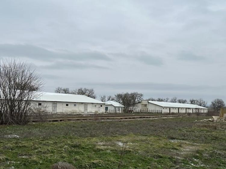 DEPOZIT CEREALE - CEAMURLIA DE JOS/STATIA CFR TVA INCLUS - 6