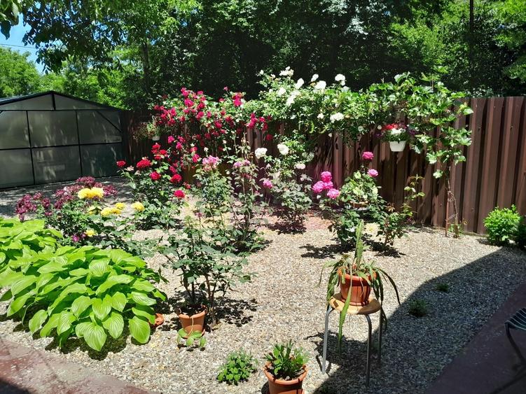 VANZARE CASA 5 CAM P+1 IN SAT MOVILITA (IL) - 8