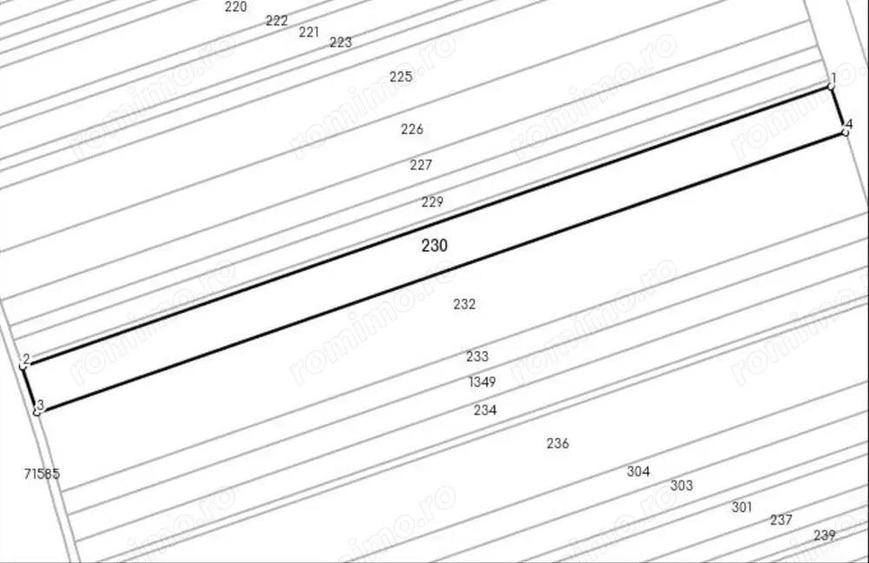 Teren Nucet 8018m Deschidere 21m la DN71 Targoviste - 5