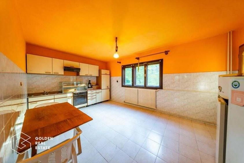 Casa de vacanta, localitatea Cladova, ideal pozitionata - 20