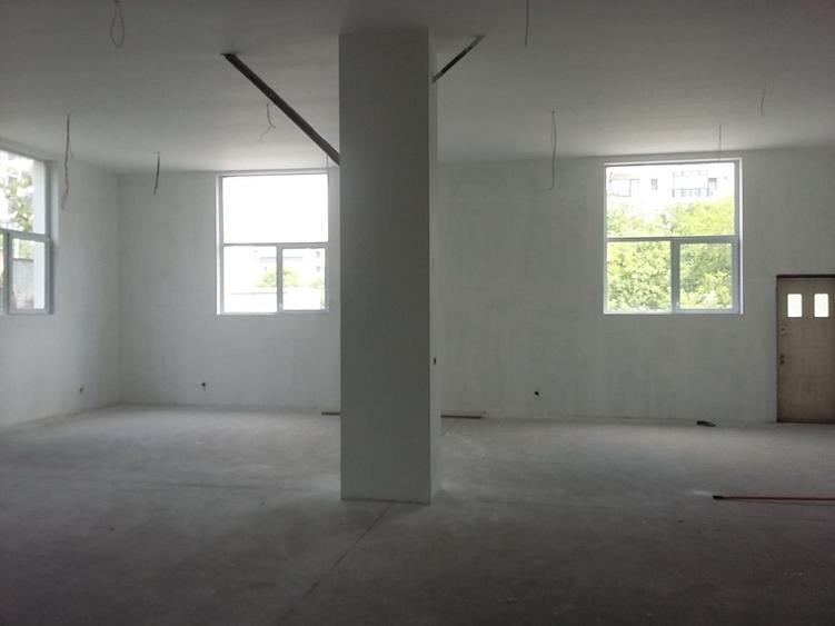 Theodor Pallady  300 mp - 4