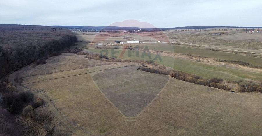 Teren 2925 mp comuna Mitocu Dragomirnei - 5