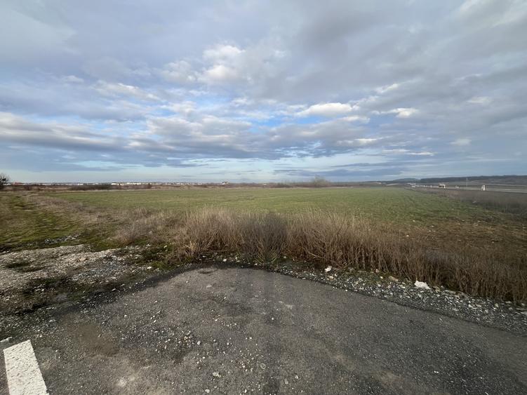 Oportunitate, 9196 mp, 30 euro/mp, 187,78 m deschidere la inelul metropolitan - 5