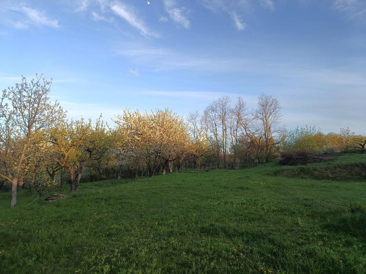 Vand teren intravilan - 3