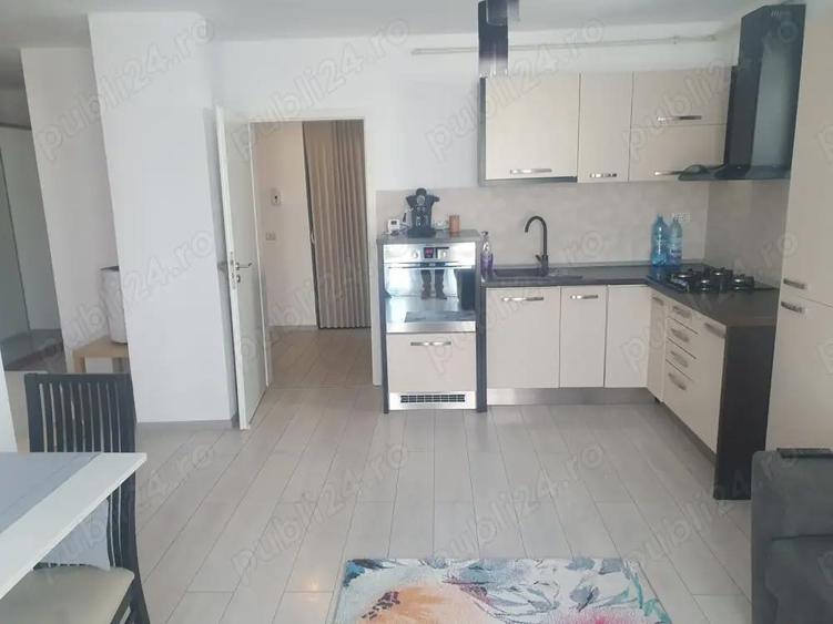 Vind studio Sinpetru - 8