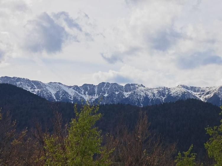 PESTERA CASA DE VANZARE - MOECIU! - 2