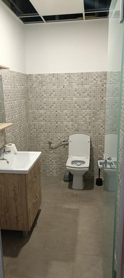 Vanzare hala/depozit cu birouri - Strada Oxigenului/Drumul Intre Tarlale - 5