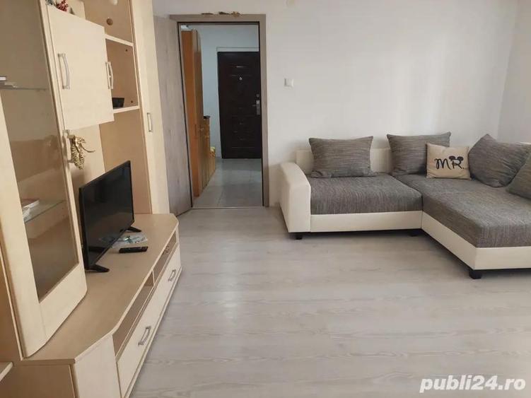 Apartament Buzias - 5