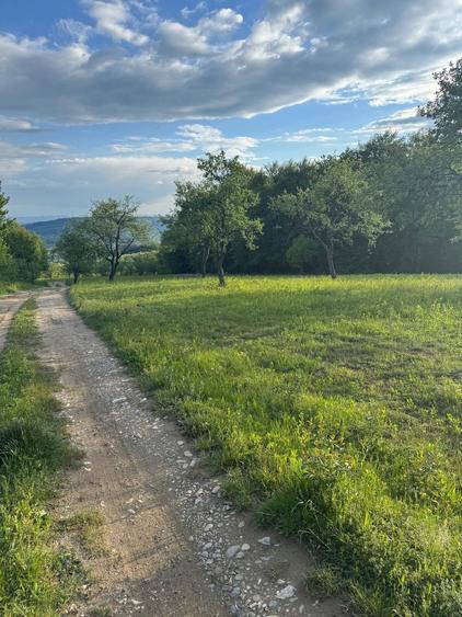 Pamant de vanzare - 3