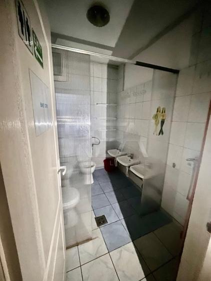 Vila individuala 8 camere  Parcul Carol - 9