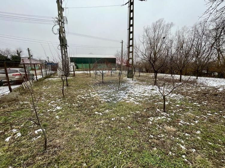 Oază de liniște în Nedelea: 1247 mp cu deschidere de 61 ml - 5