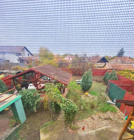 Casa P+M de vanzare - Sannicolau Mare - 4