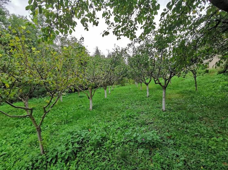 CASA DE VANZARE IN CENTRUL COMUNEI SOVEJA, ideala pentru locuire sau casa de vacan?a - 6