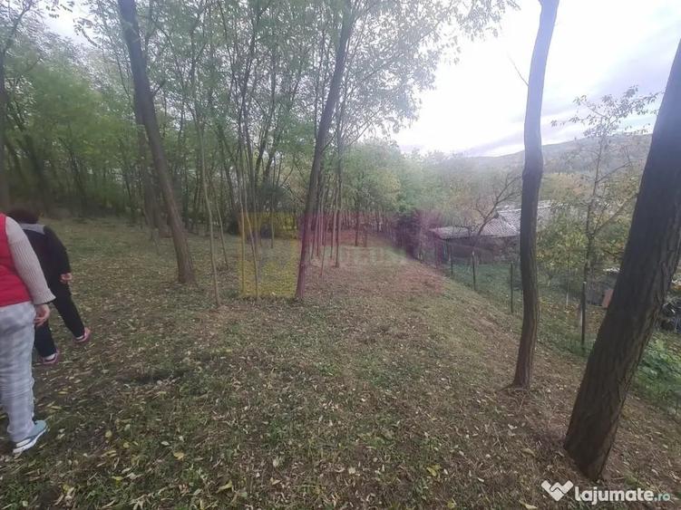 Casă cu 3 camere cu Teren 3410 Mp în Aluniș
