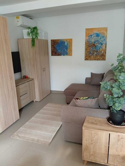 Apartament cu 2 camere semidecomandat în Sud