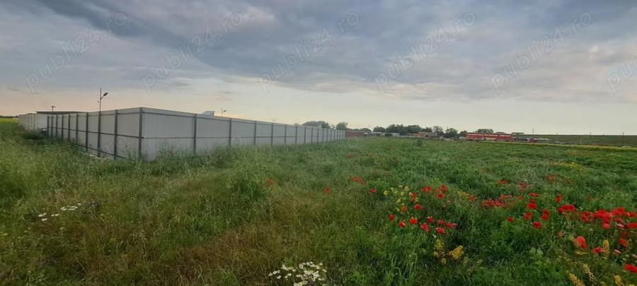 Teren de 704 mp, în Cornetu