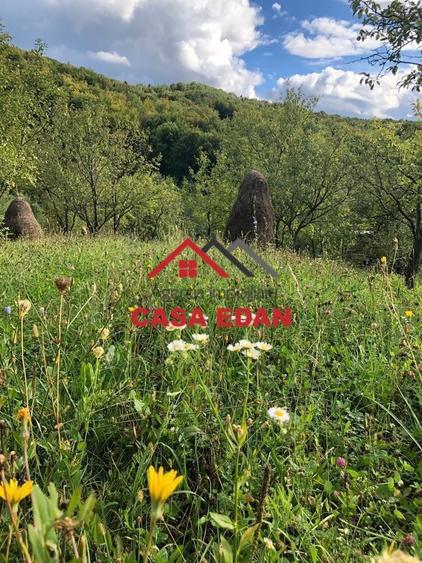Teren extravilan de 9104 mp, în Brebu Mânăstirei