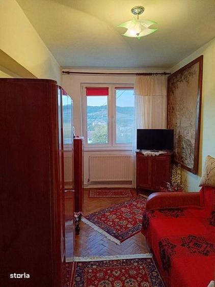 Apartament 3 camere, decomadat, ultracentral Hateg - 5