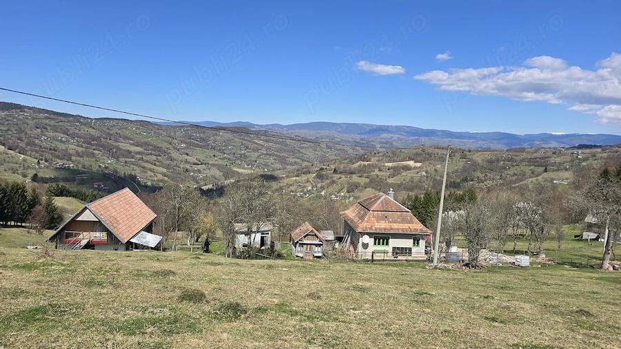 Teren de 23000 mp, în Sohodol