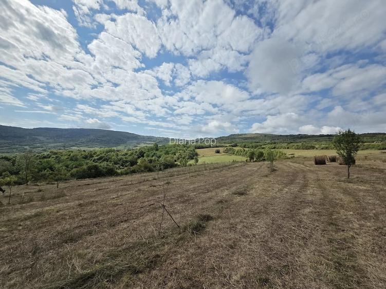 Teren extravilan de vanzare Pintic-Podul Ocnei (loc. componenta a municipiului Dej), jud. Cluj