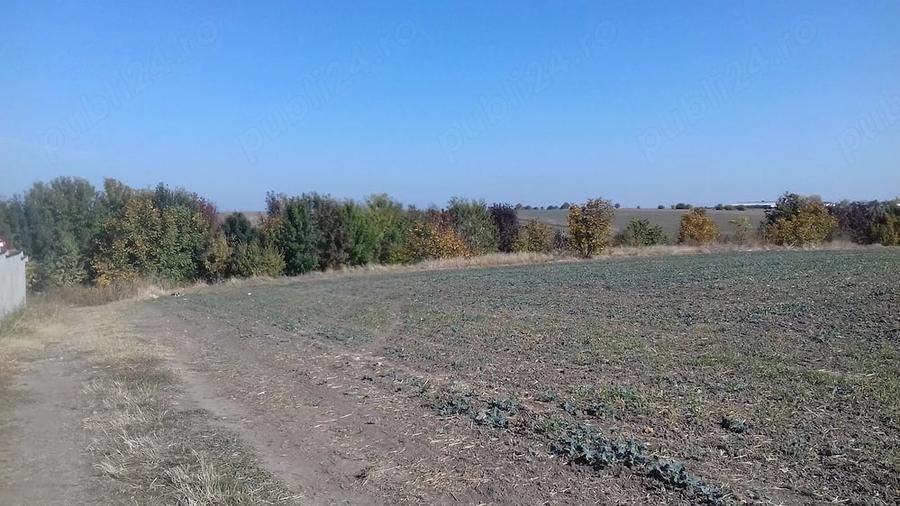 Teren de 1400 mp, în Surlari