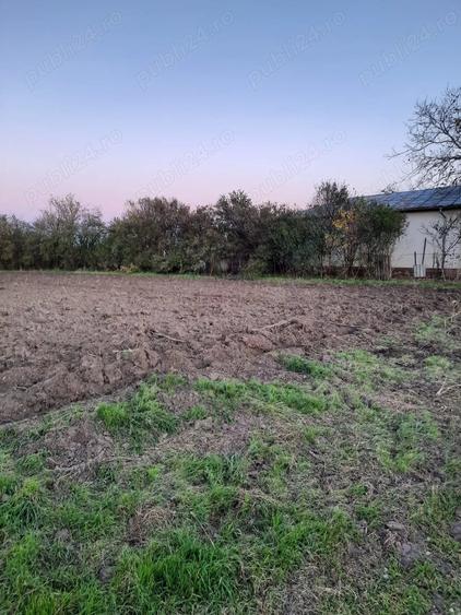 Teren de 1500 mp, în Plătărești