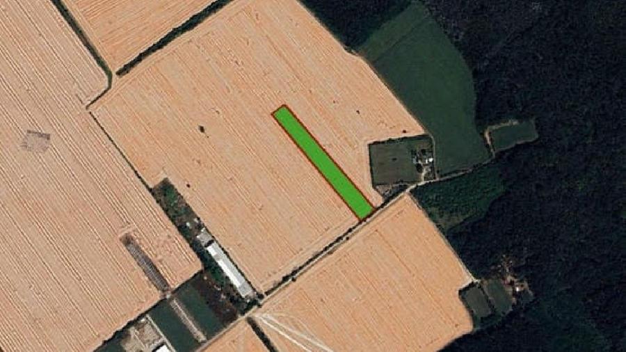 Teren agricol intravilan de 14000 mp, în Nord