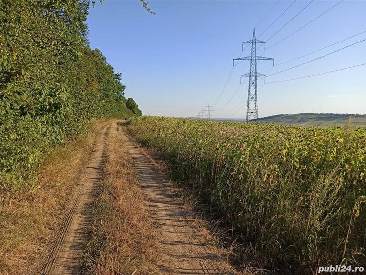 Teren de 5400 mp, în Pădurii