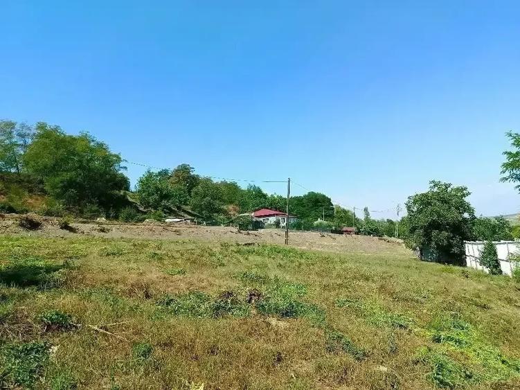Teren de 2000 mp, în Central