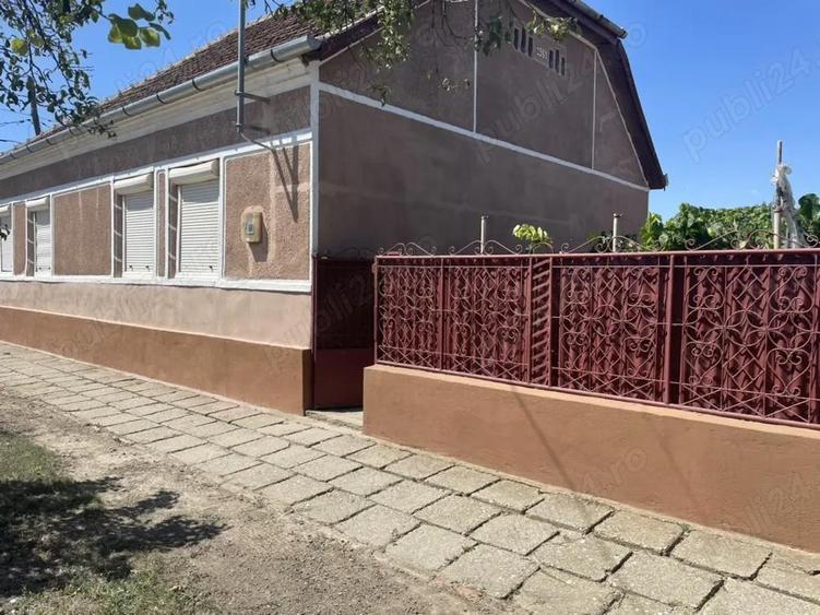 Vand casa in Sanmartinul Sarbesc - 3