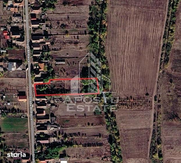 Se vinde teren intravilan in Sannicolau Mare oportunitate rara - 1