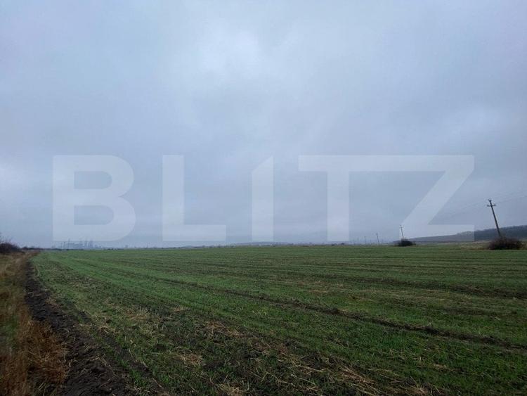 Teren Construcții intravilan de 41000 mp, în Ișalnița