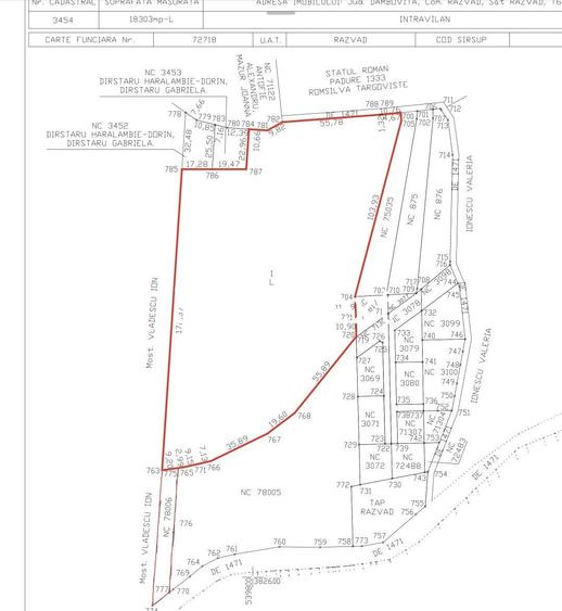 Teren intravilan de vanzare in Razvad, la 7 minute de centrul Targovistei, drum acces privat 9 m latime, 19.000 m2 - 3