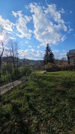 Teren Construcții intravilan de 1800 mp, în Brebu Megieșesc