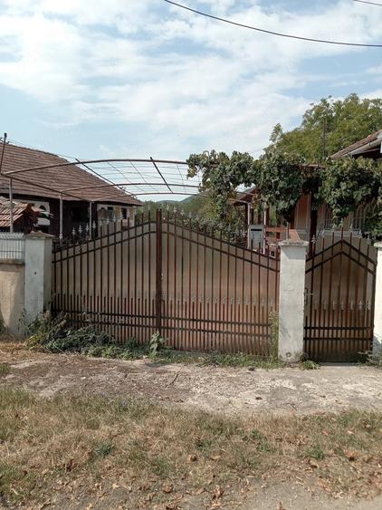 Casă cu 3 camere cu Teren 2500 Mp în Ciocmani