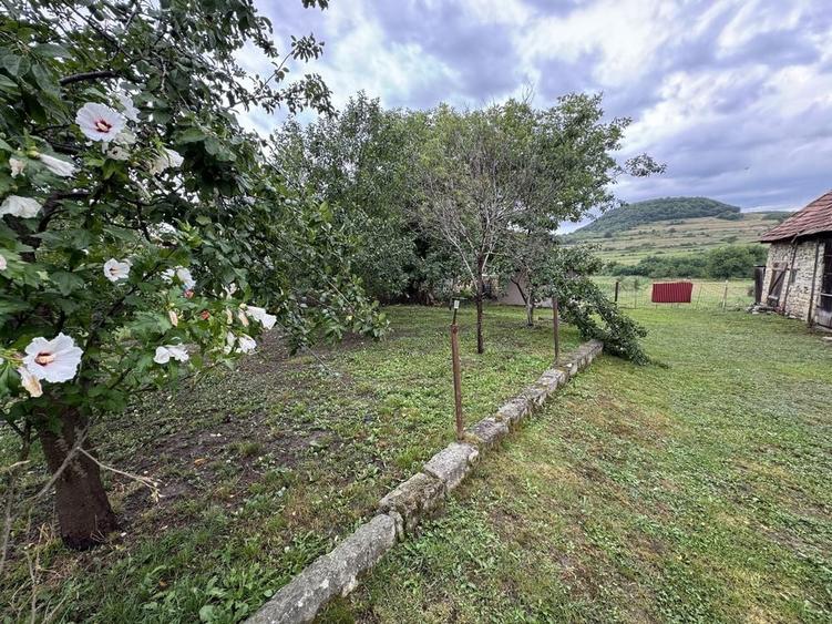 Casă cu 2 camere în Cornești
