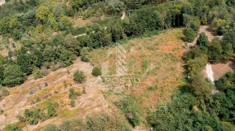 Teren agricol extravilan de 5000 mp, în Borlova