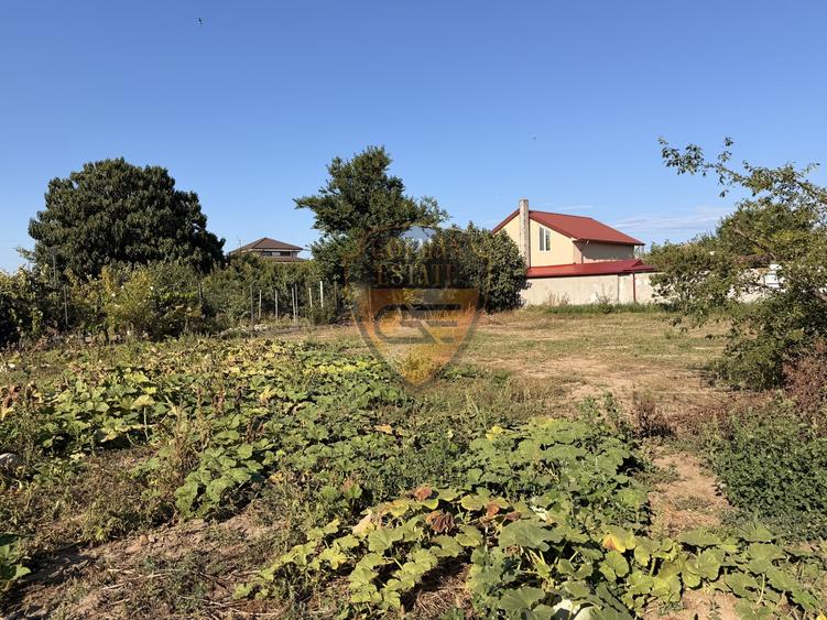 Casă individuală cu 4 camere cu Canalizare în Palazu Mare