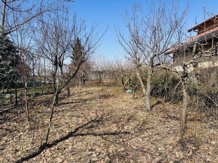 Casă individuală cu 7 camere cu Piscina în Roșu