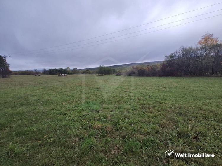 Teren Construcții intravilan de 3212 mp, în Pădureni (Chinteni)