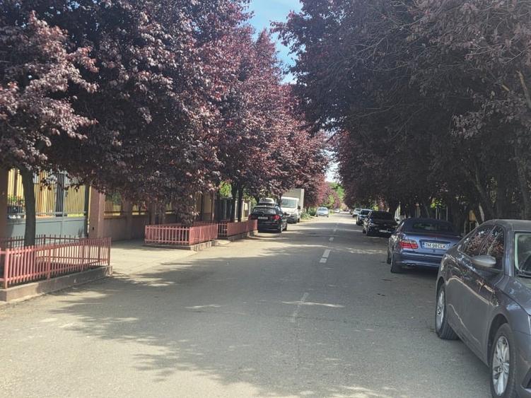 Casă individuală cu 5 camere cu Canalizare în Dumbrăvița