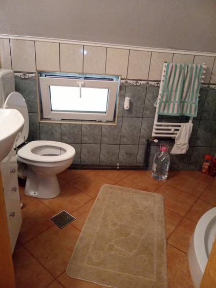 Casă cu 6 camere cu Teren 1300 Mp în Secăriei