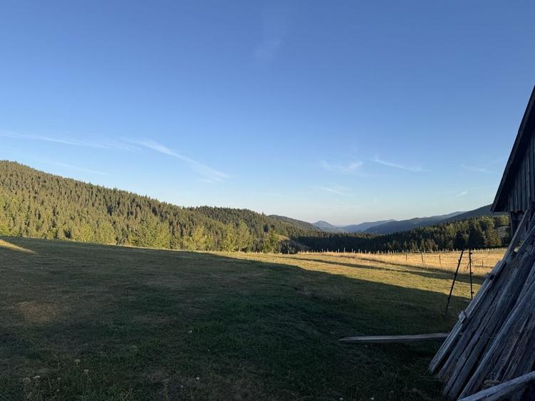 Teren de 15000 mp, în Poienița