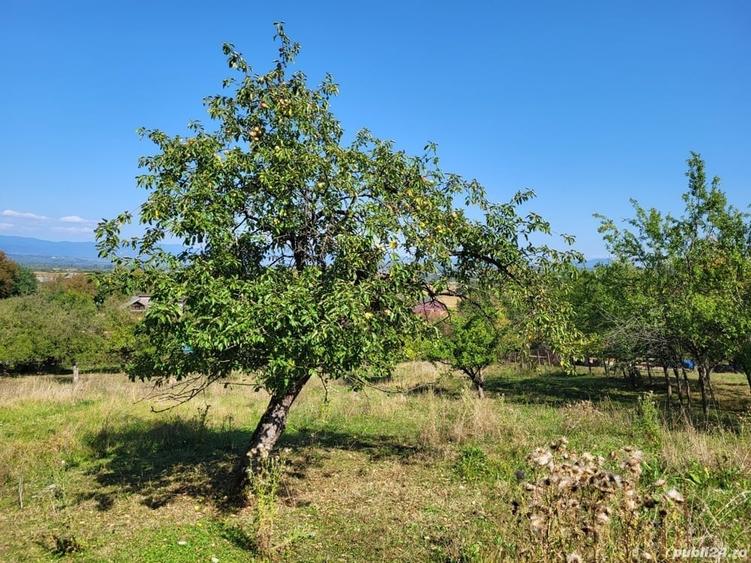 Teren de 4100 mp, în Remetea Chioarului