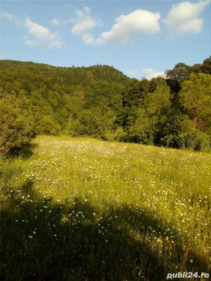 Teren de 6000 mp, în Crasna
